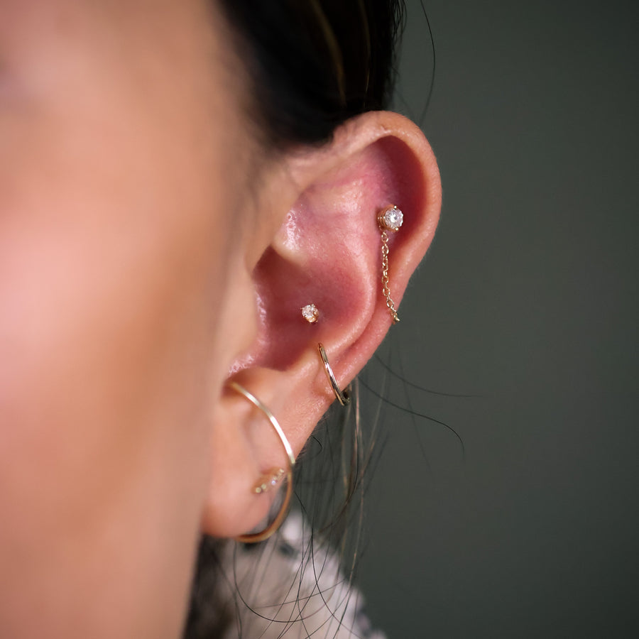 Conch Claw Earring